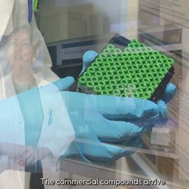 Scientist holding a rack of green-capped sample tubes in a lab, with Hamilton branding and lab equipment visible 