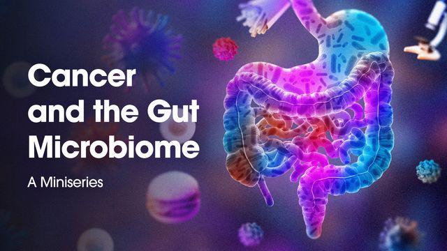 Illustration of the human gut microbiome, featuring colorful bacteria and cells, with the text "Cancer and the Gut Microbiome A Miniseries". 