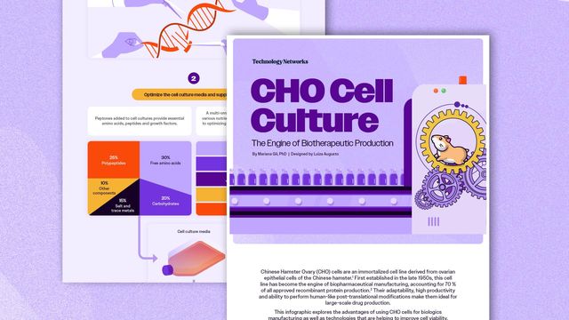 Illustrated infographic on CHO cell culture for biotherapeutic production, featuring a hamster within machine gears and a production line of biopharmaceutical bottles. 