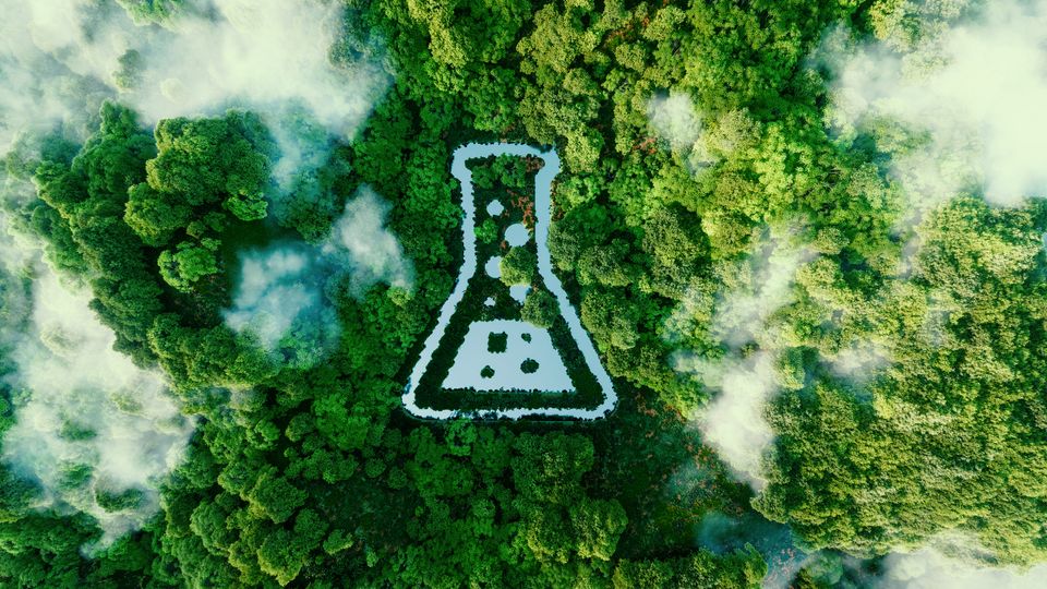 An aerial photograph of a forest, with the outline of a conical flask digitally superimposed to look like a gap in the trees.