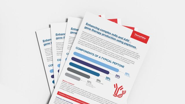 Thermo Fisher infographic detailing components of peptones for enhancing monoclonal antibody and gene therapy production 