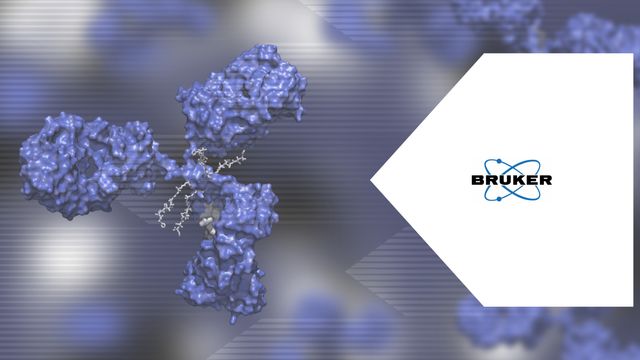 3D molecular model of a monoclonal antibody with chemical structure overlay, branded with Bruker logo. 