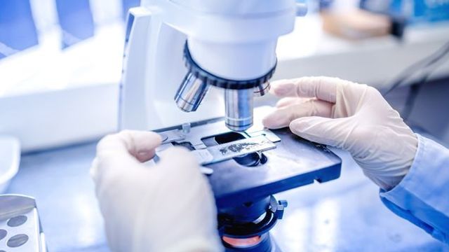 Scientist examining a sample under a microscope in a forensic toxicology laboratory. 