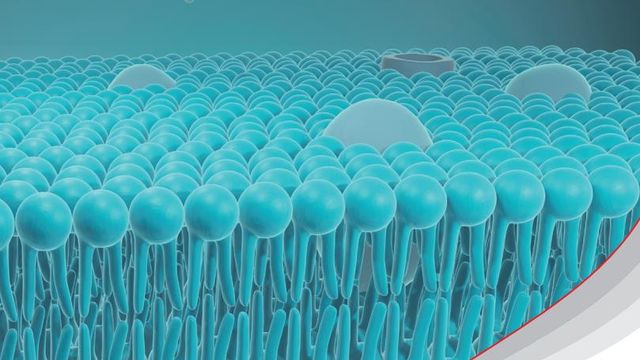 Cell Membrane structure stock photo 