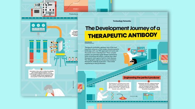 Illustrated infographic showing the development process of therapeutic antibodies from gene sequencing to production. Text reads: The Development Journey of a Therapeutic Antibody 