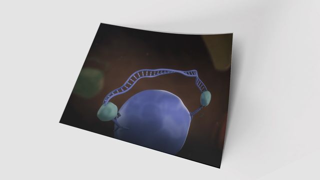 A photograph on a white background showing a unique DNA barcode is created for each protein 