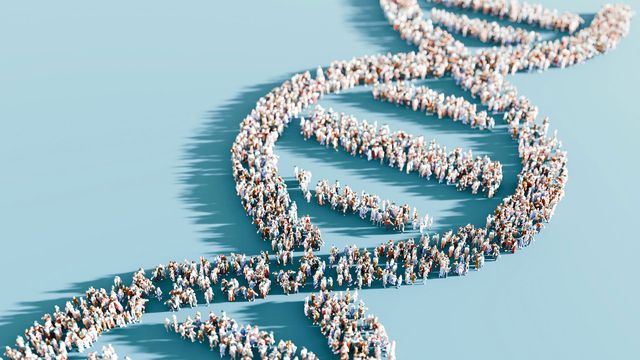 Image of lots of people standing in the shape of DNA, representing human genetics. 