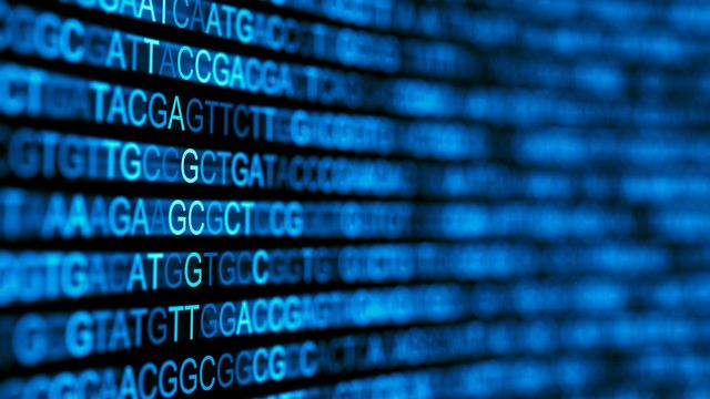 Blue digital screen displaying DNA base sequences representing next-generation sequencing (NGS). 