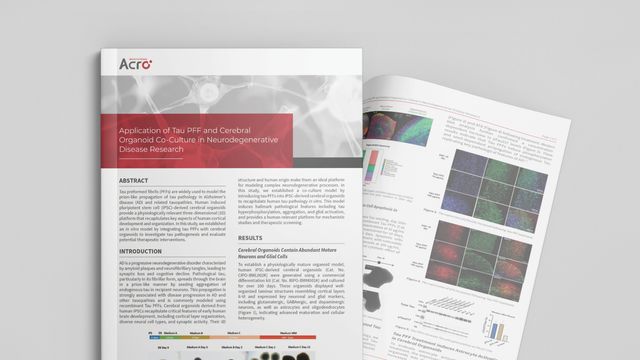 Two pages of the Modeling Tau Pathology With Human Brain Organoids app note on a grey background. 