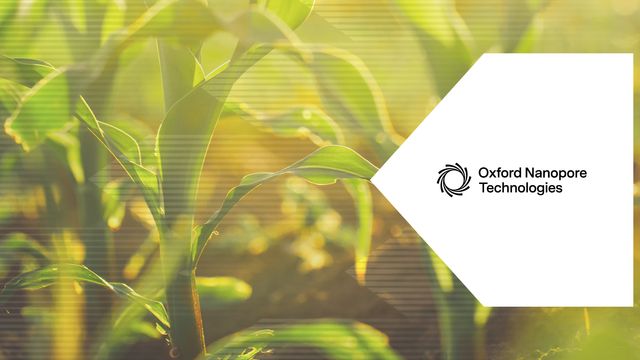 Abstract blue and green agrigenomics background with digital stripes overlay 