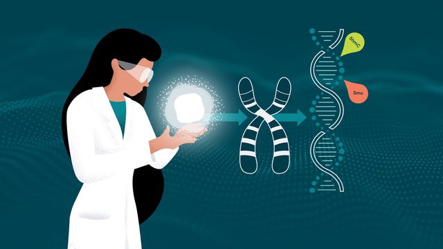 Illustration of a scientist holding an illuminated object, examining DNA molecules and chromosomes, depicting genetic research. 