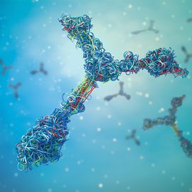 3D illustration of antibodies, central to immune responses in both cancer and allergy research. 