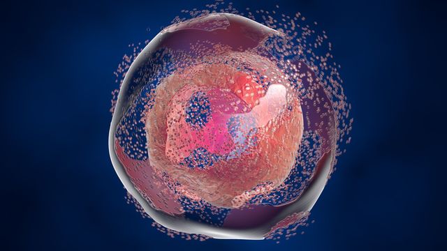 A close up image of a cell breaking down 